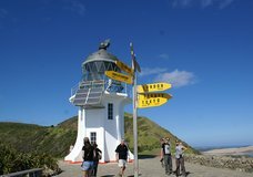 Explore - Cape Reinga &amp; Cruise Twin Tour :: click here for more information