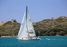 Explore NZ: Lion New Zealand Day Sail :: click here for more information