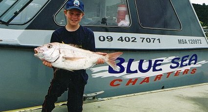 Fishing with Blue Sea Charters in the Bay of Islands