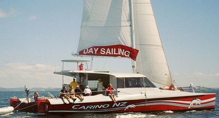 Carino Sailing and Dolphins
