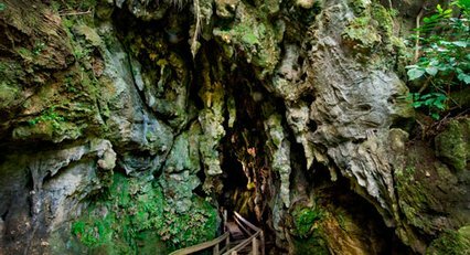 Kawiti Glow Worm Caves