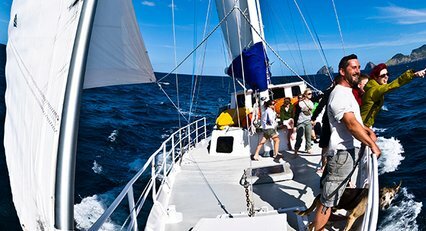 Ocean sailing ecocruz bay of islands