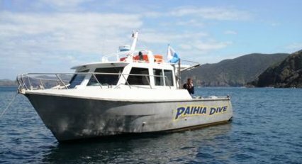 Paihia Dives boat
