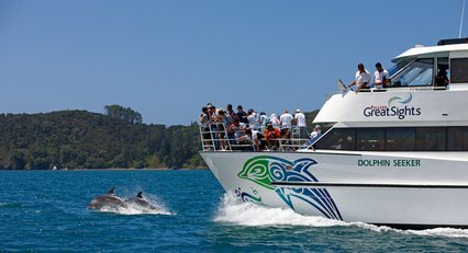 Dolphin Cruise to the Hole in the Rock + Island Stopover
